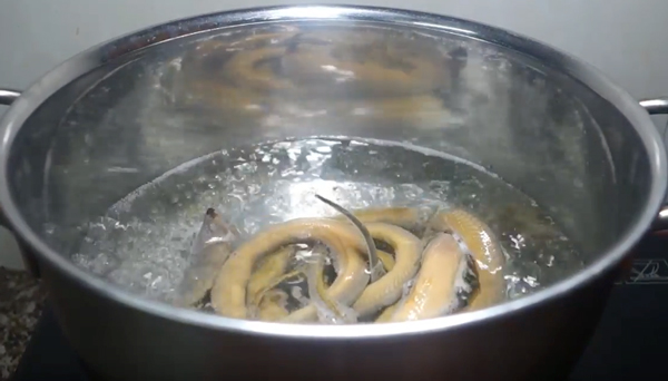 Cách nấu cháo lươn thơm ngon, bổ dưỡng mà không lo bị tanh - Ảnh 3