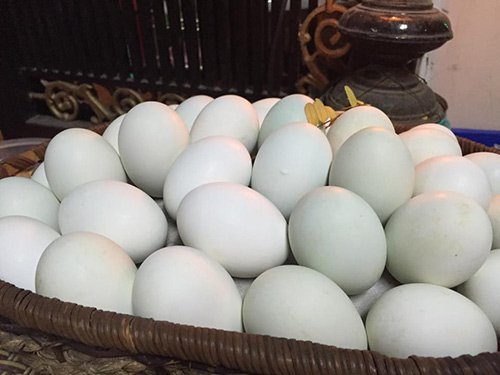 Mẹo bảo quản trứng vịt lộn sống/chín được lâu ngày mà không bị mất chất - Ảnh 3