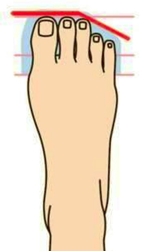 Nhân tướng học: Hình dạng bàn chân nói lên điều gì về tính cách của bạn? - Ảnh 1