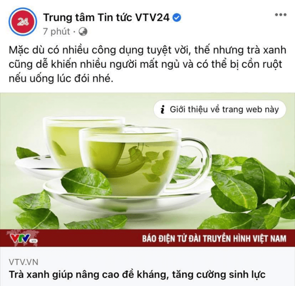 VTV bắt trend đăng bài kiến thức trà xanh giữa drama Sơn Tùng khiến netizen bái phục - Ảnh 2