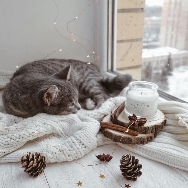 1500+ hình ảnh avatar buồn cô đơn tâm trạng - Ảnh 1