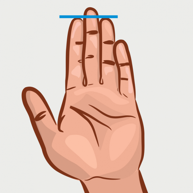Nhân tướng học: Chiều dài ngón tay nói lên điều gì về tính cách của bạn - Ảnh 3