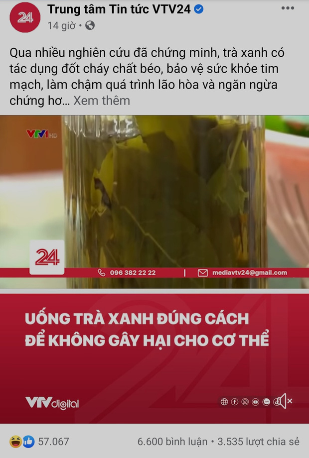 VTV bắt trend đăng bài kiến thức trà xanh giữa drama Sơn Tùng khiến netizen bái phục - Ảnh 1