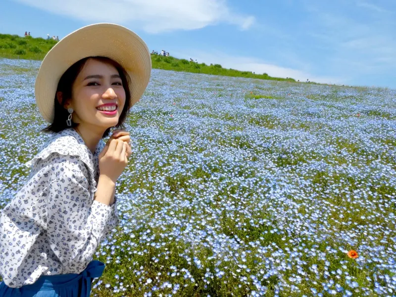 Ngẩn ngơ trước cánh đồng 4,5 triệu bông hoa phấn điệp tại công viên Hitachi Seaside - Ảnh 11