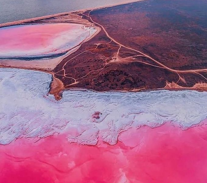 Màu hồng của hồ nước là do loài vi tảo Dunaliela Salina và các loài giáp xáp.