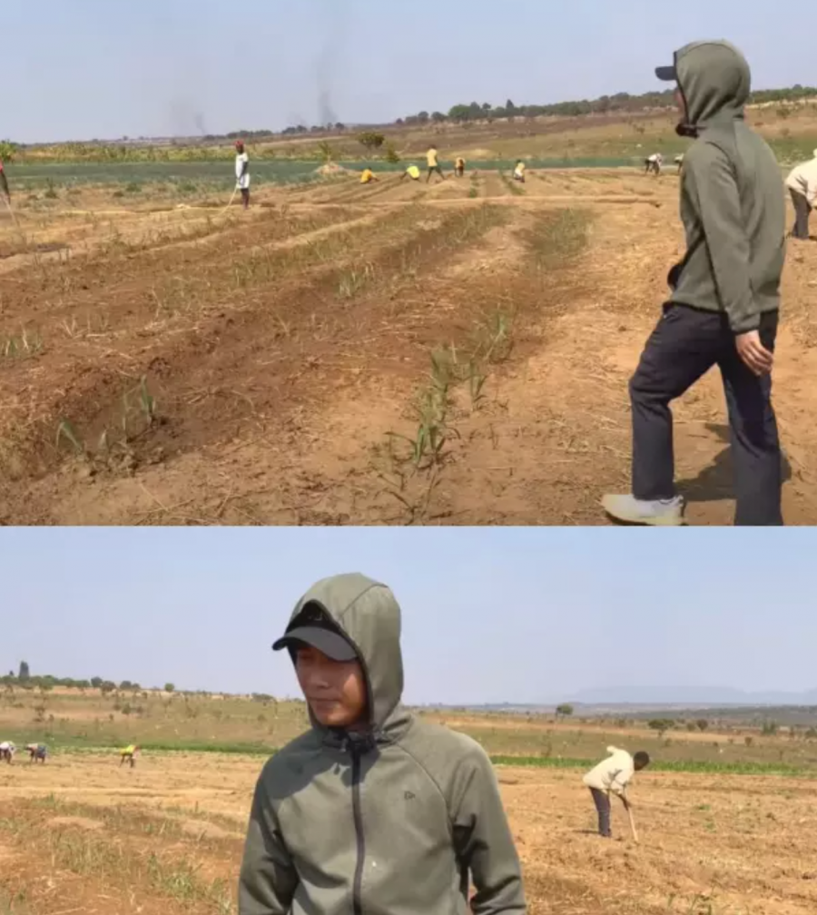 Quang Linh Vlogs tiết lộ trang trại đang vận hành rất tốt