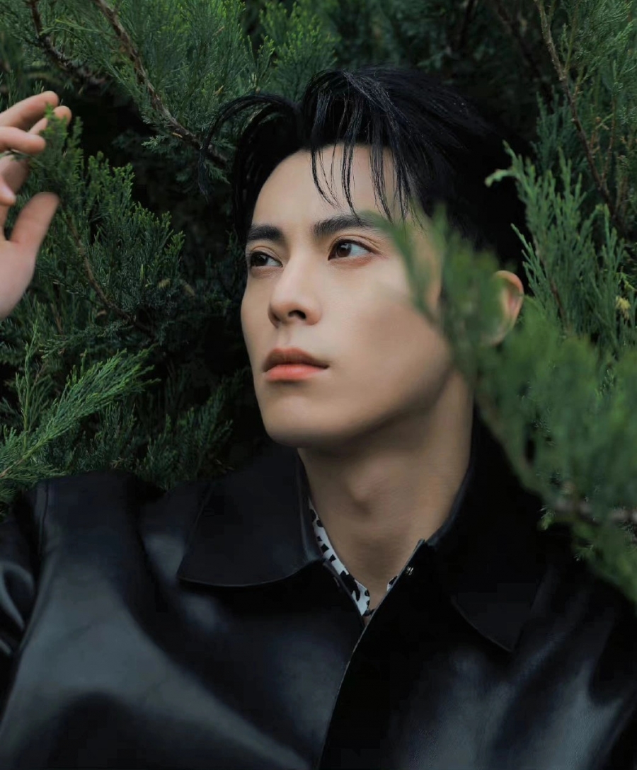 Vương Hạc Đệ từng diễn xuất trong Tân Vườn Sao Băng năm 2018