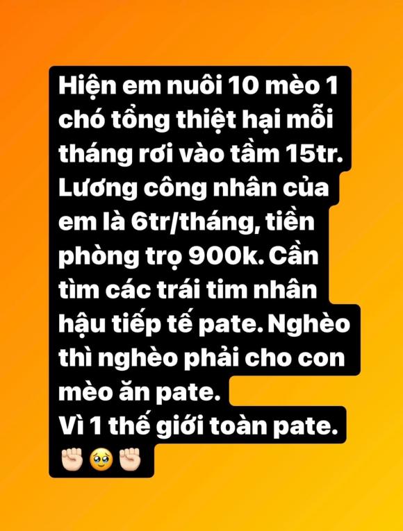 Elly Trần tìm người tiếp tế pate cho 10 thú cưng vì tiền pate gấp 2,5 lần thu nhập? - Ảnh 1