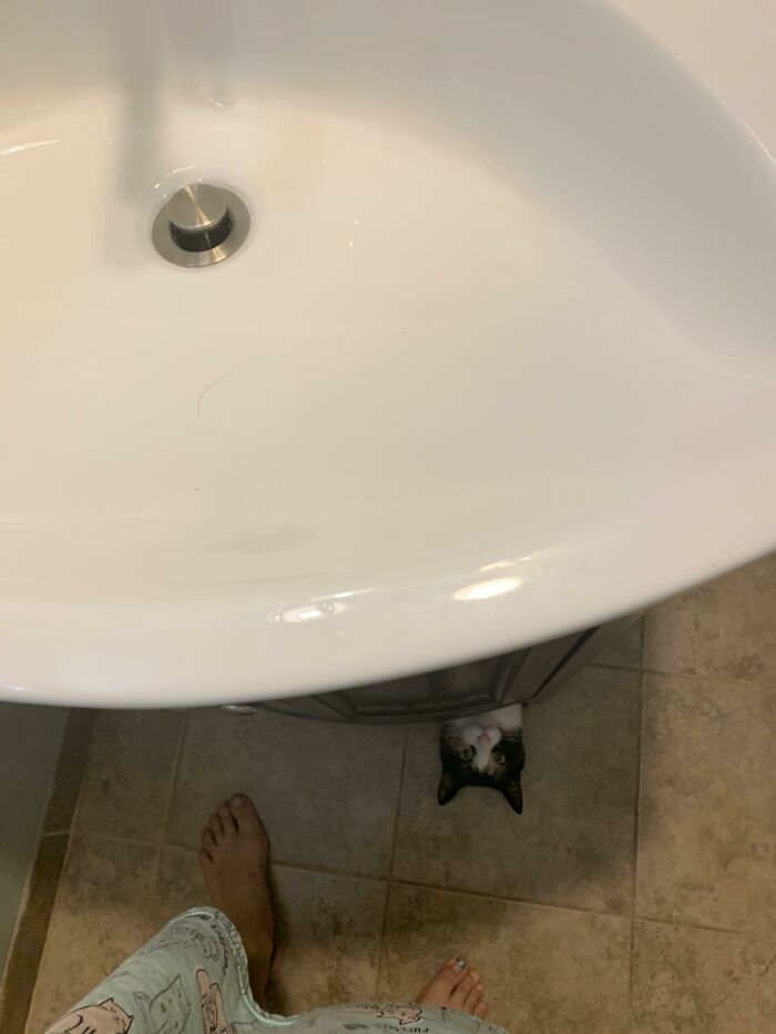 Bạn gái tôi đang đánh răng sáng nay thì thật bất ngờ, con quái vật xuất hiện bất thình lình ngay dưới bồn rửa mặt!!!