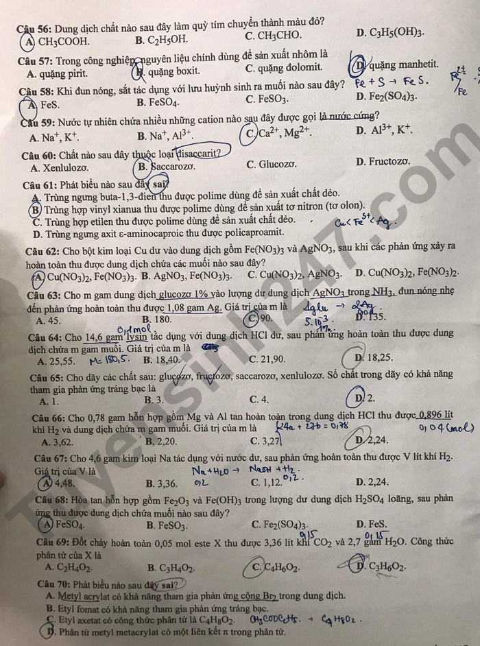 Đáp án đề thi môn Hóa học mã đề 217 kỳ thi tốt nghiệp THPT 2022 - Ảnh 2