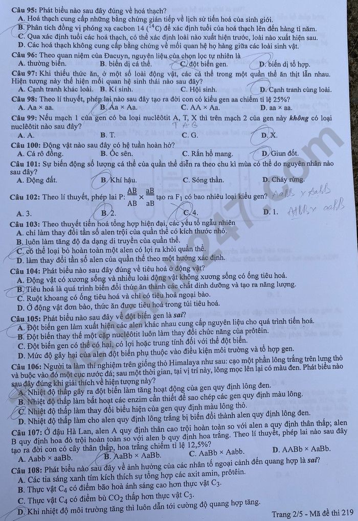 Đáp án đề thi môn Sinh học mã đề 219 kỳ thi tốt nghiệp THPT 2022 - Ảnh 2