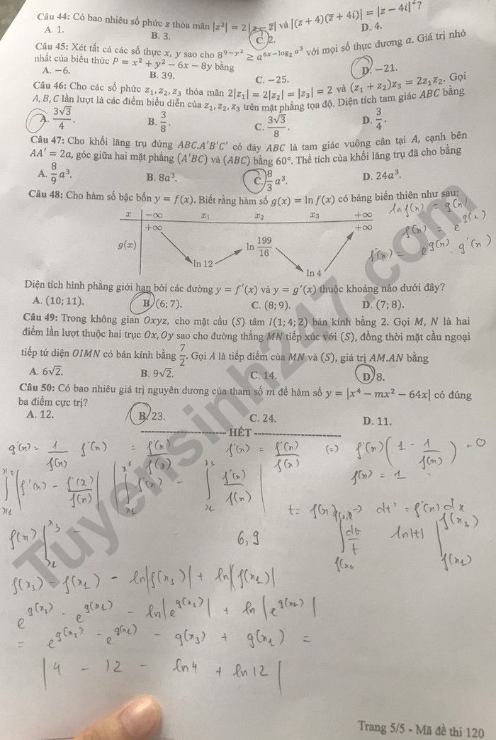 Đáp án đề thi môn Toán mã đề 120 kỳ thi tốt nghiệp THPT 2022 - Ảnh 5