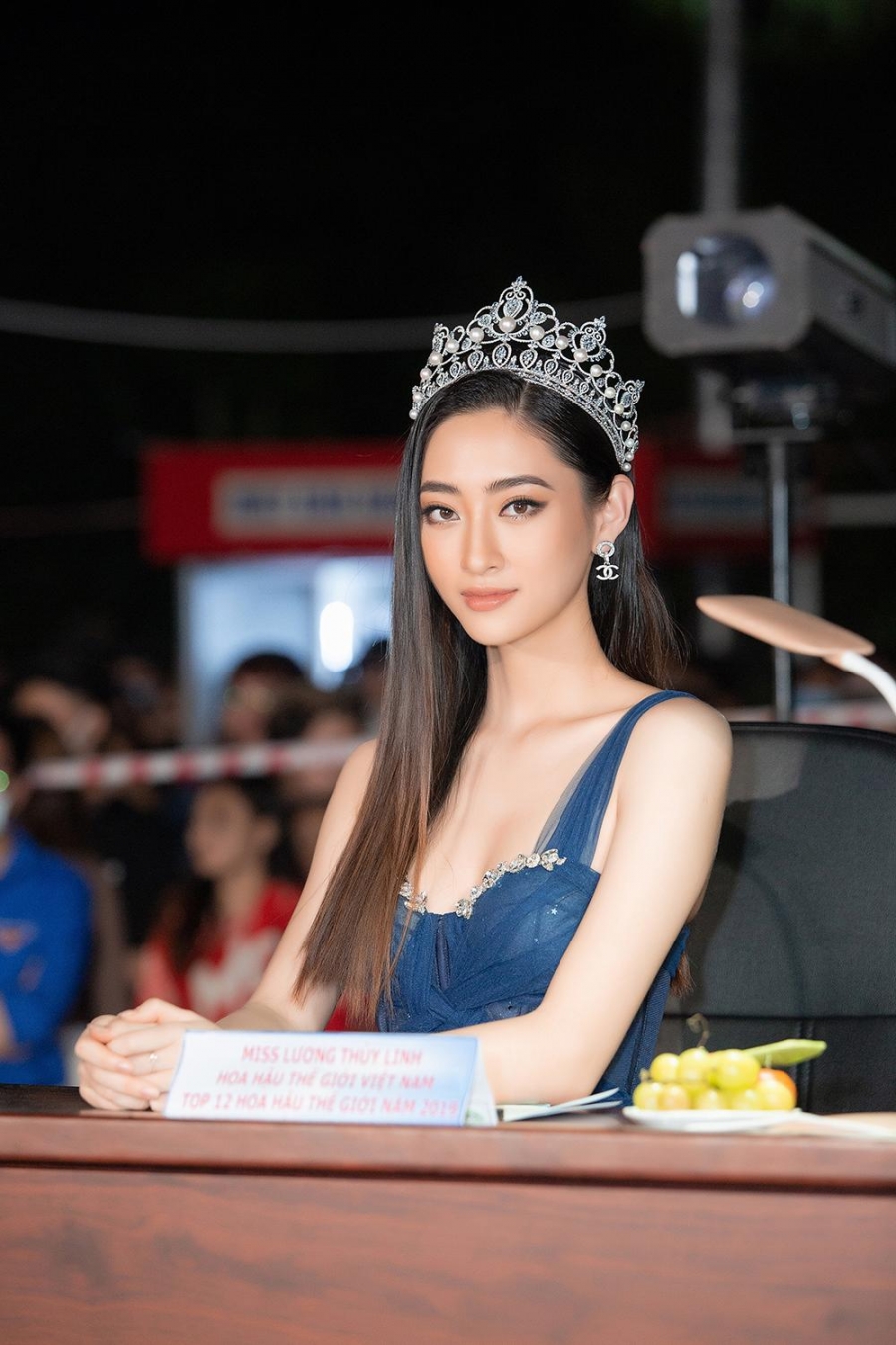 Hiện Lương Thùy Linh đang có danh hiệu Hoa hậu Thế giới Việt Nam 2019 và Top 12 Hoa hậu Thế giới 2019