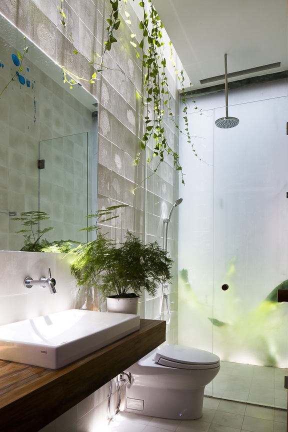 Không gian phòng tắm và nhà vệ sinh cũng được đón ánh nắng ấm áp cùng những chậu cây trang trí và cây leo duyên dáng.