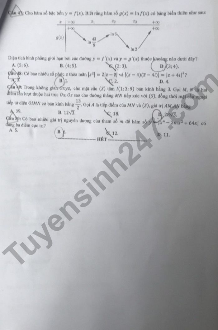 Đáp án môn Toán mã đề 101 kỳ thi tốt nghiệp THPT 2022 - Ảnh 5
