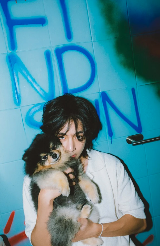 Chú chó cưng Yeontan của V được anh chàng đặc biệt mang vào album đầu tay, trùng hợp cùng giống với thú cưng Kuma của Jennie