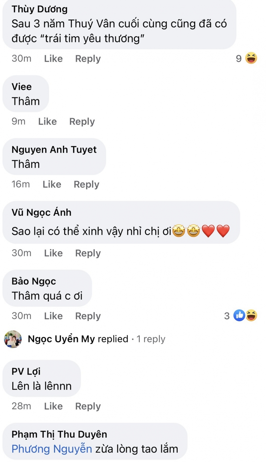 Nhiều netizen đã lập tức đặt nghi vấn, phải chăng Thuý Vân đang bày tỏ sự không đồng tình với BTC cũng như kết quả tại cuộc thi Hoa hậu Hoàn Vũ Việt Nam 2019. 