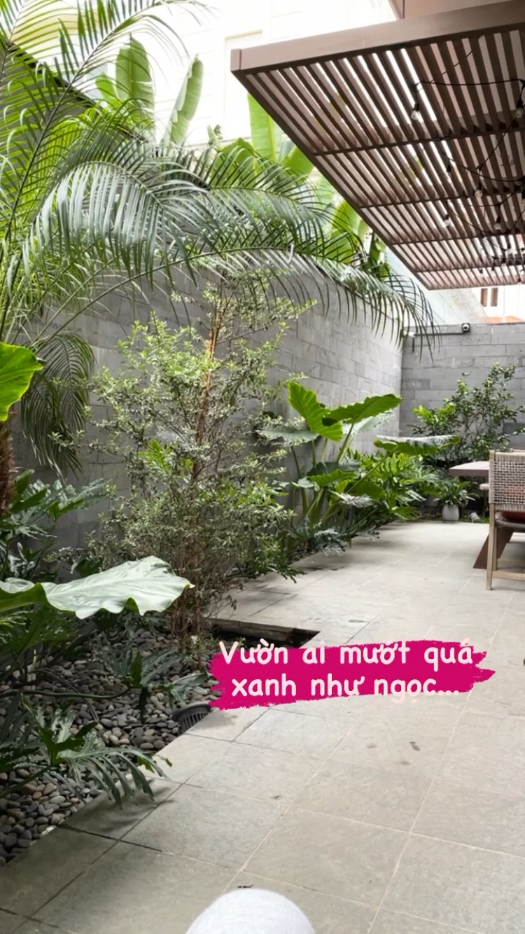 Một góc vườn xanh mướt nhà Tóc Tiên.