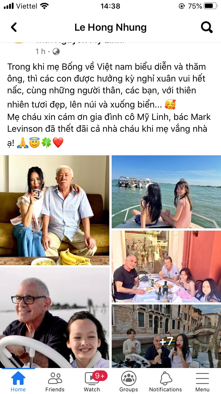 Diva Hồng Nhung để hai con cho bạn trai Tây chăm sóc, về Việt Nam chạy show - Ảnh 1