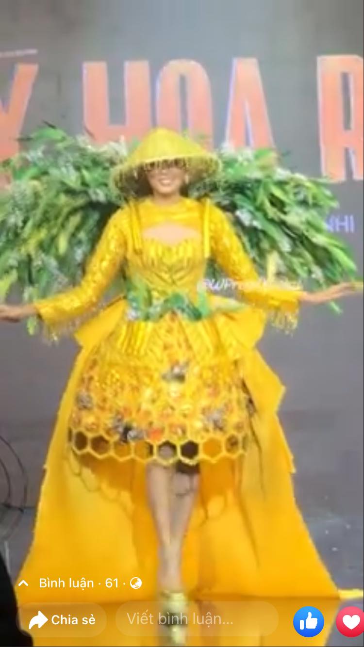 Thảo Nhi Lê bị chê như gùi rau muống trong phần trang phục dân tộc của Miss Universe Việt Nam 2022 - Ảnh 4