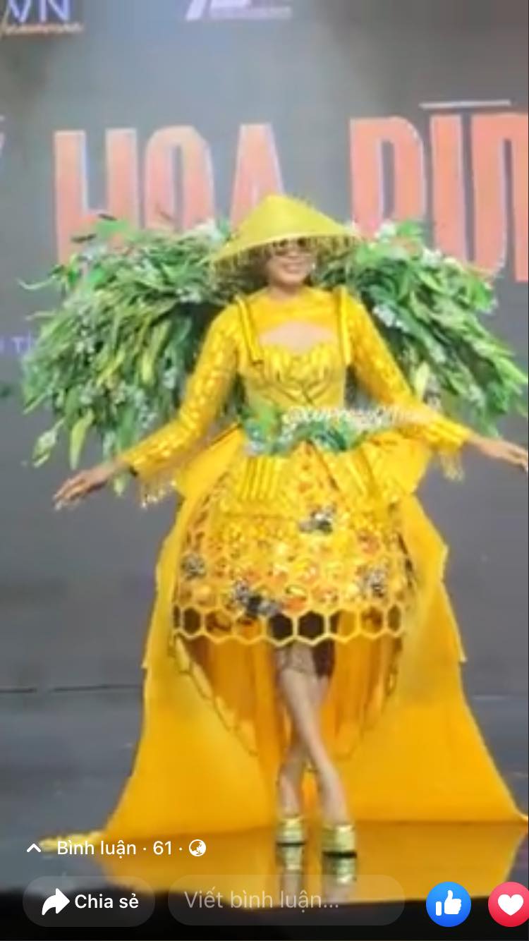 Thảo Nhi Lê bị chê như gùi rau muống trong phần trang phục dân tộc của Miss Universe Việt Nam 2022 - Ảnh 2
