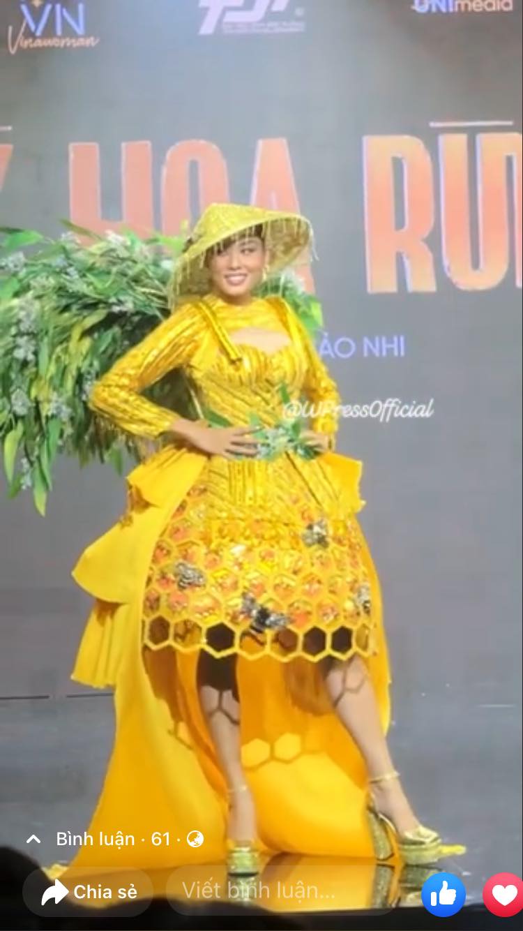 Thảo Nhi Lê bị chê như gùi rau muống trong phần trang phục dân tộc của Miss Universe Việt Nam 2022 - Ảnh 3