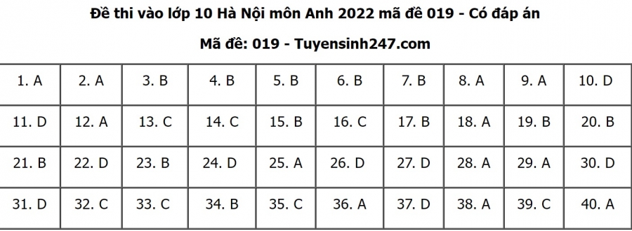 Đáp án đề thi môn Tiếng anh thi vào lớp 10 THPT TP. Hà Nội 2022 mã đề 019 (Nguồn: Tuyensinh 247).