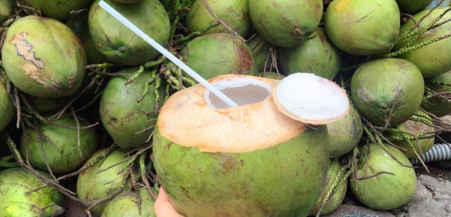 Nên chọn mua dừa vẫn còn nguyên chùm để tránh mua phải dừa bị tiêm hoá chất.