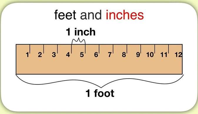 Một inch bằng bao nhiêu cm? Cách đổi từ inch ra cm nhanh và chính xác nhất - Ảnh 2