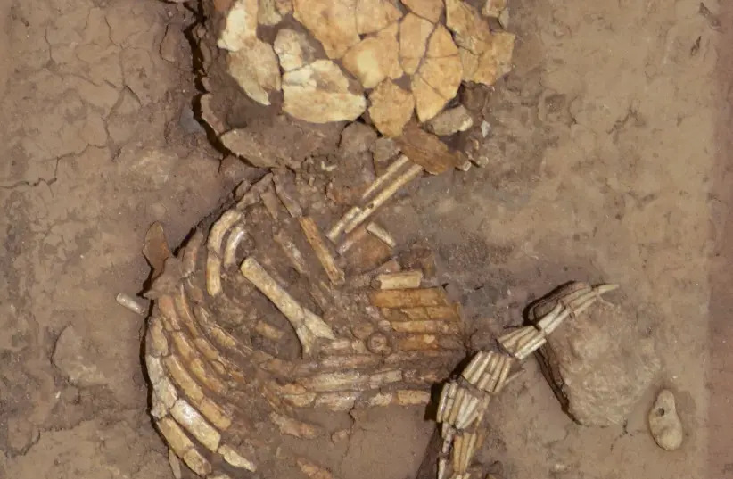 Phát hiện bộ xương của đứa trẻ sơ sinh cùng thắt lưng tồn tại cách đây 15.000 đến 11.700 năm trước.