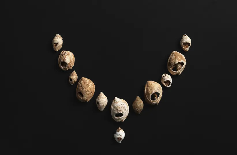 Hạt vỏ Columbella rustica được phát hiện tại hang Manot, thuộc nền văn hóa Levantine Aurignacian, cách đây 37.000–33.000 năm.