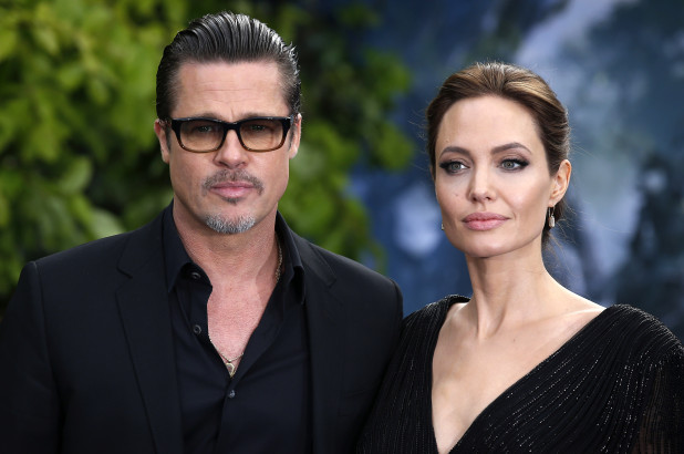 Sau Johnny Depp, đến lượt Brad Pitt kiện vợ cũ - Ảnh 2