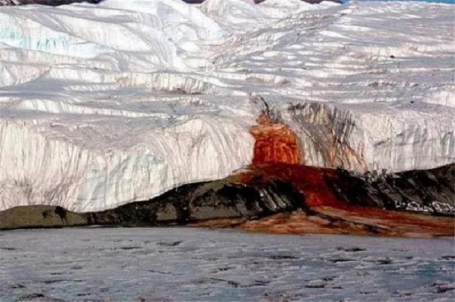 Nam Cực bất ngờ xuất hiện 'tuyết máu'