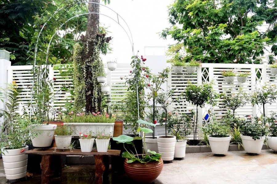 Những khu vườn vạn người mê của Sao Việt: Hà Tăng, Quyền Linh đều bội thu rau xanh, trái cây - Ảnh 16
