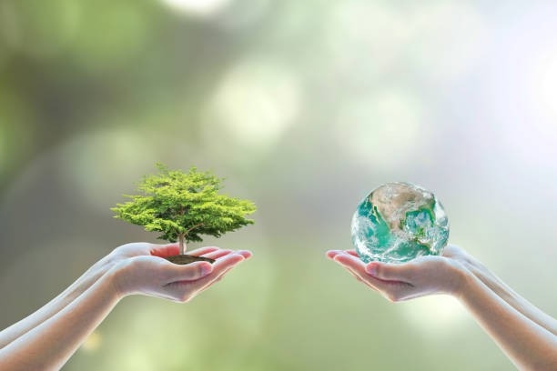 Green Living - Bảo vệ môi trường và sức khỏe con người