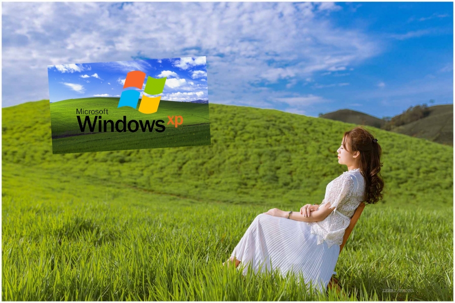 Microsoft bán áo phông in hình nền Windows XP, giá 60 USD