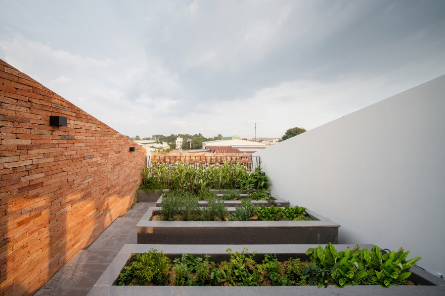 Nhóm thiết kế bao phủ mái nhà bằng thực vật để giúp con người có không gian thư giãn, đồng thời đưa kiến trúc đến gần hơn với thiên nhiên trong lành.