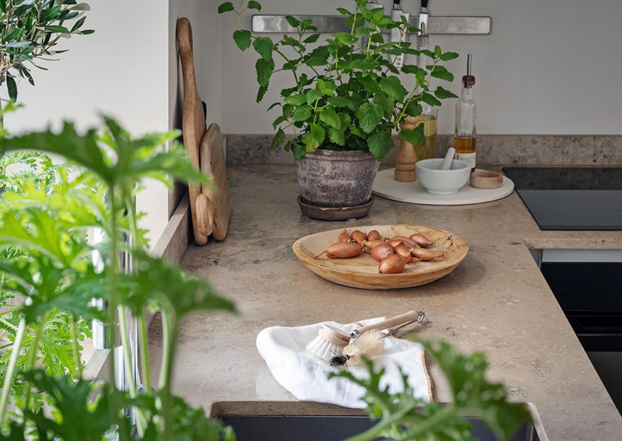 Khá nhiều chậu cây thảo mộc được trồng trong phòng bếp, vừa để cung cấp cho bữa ăn thêm đẹp vừa xua tan bầu không khí nóng bức thường thấy trong khu vực nấu nướng.