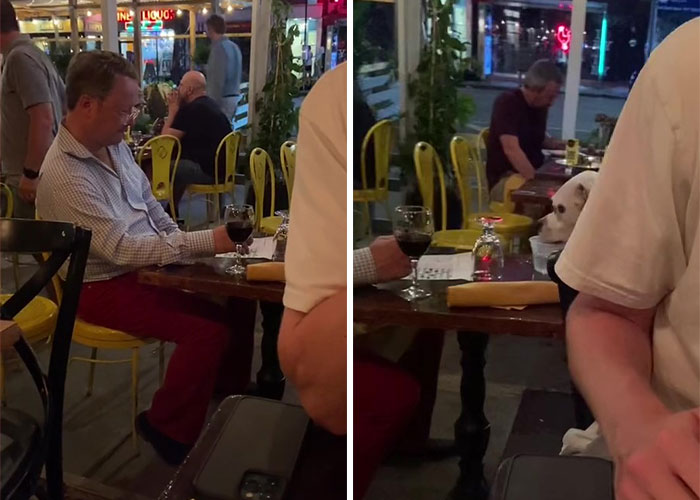 Người đàn ông đang uống một ly rượu vang đỏ trong khi điền trò chơi ô chữ, còn chú chó đang say mê thưởng thức chỉ với một bát nước