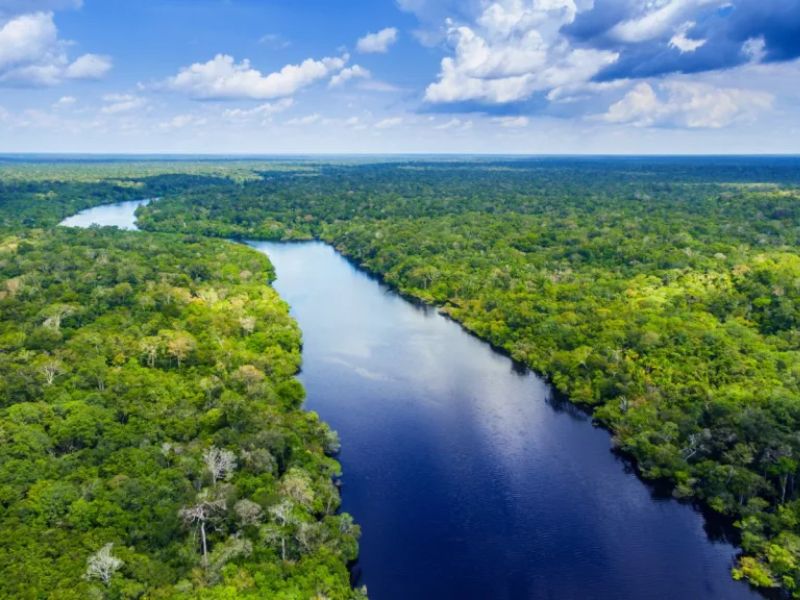 Hình ảnh từ trên cao nhìn xuống một phần sông Amazon cho thấy không có cây cầu nào bắc ngang qua