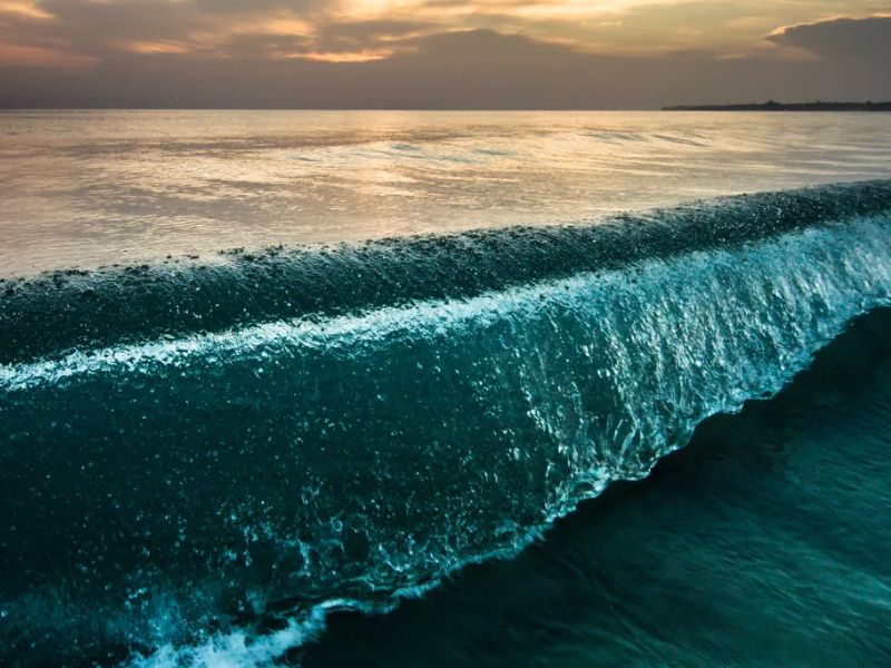 Ướng nước biển nhanh chóng làm mất nước