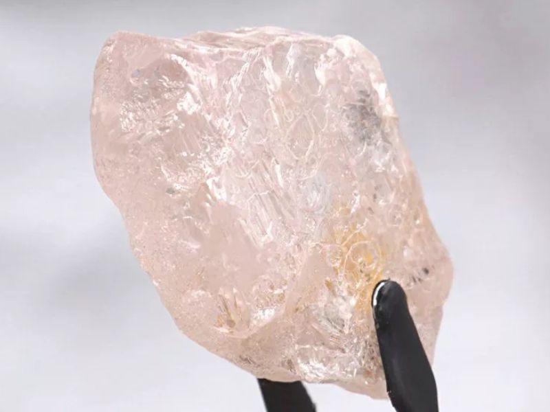 Lulo Rose là viên kim cương hồng lớn nhất được tìm thấy trong 300 năm và có thể trở thành viên đá quý đắt nhất từng được bán