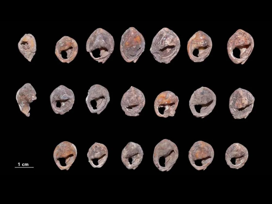 Các nhà khảo cổ học đã tìm thấy một món đồ trang sức sớm nhất được biết đến trên thế giới.