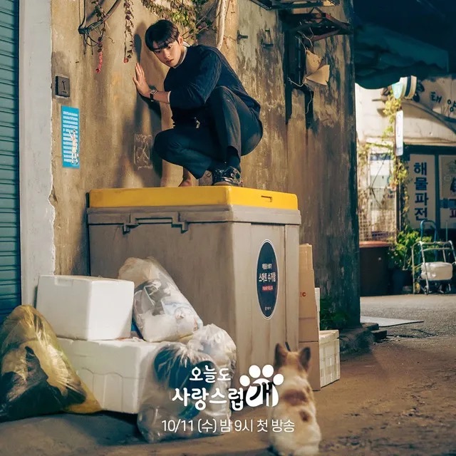 Cảnh nhân vật Jin Seo Won của Cha Eun Woo sợ chó khiến người xem 'dở khóc dở cười'