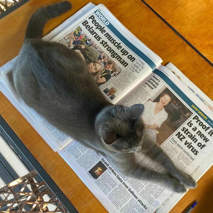 Xin lỗi! Tôi đang cố đọc tờ báo đó mà.