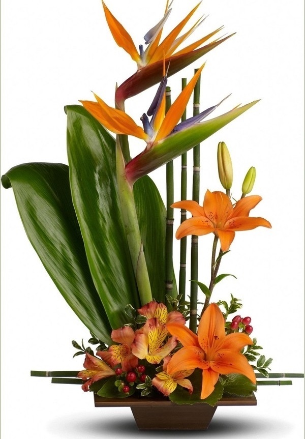 Xin gửi lời tri ân sâu sắc nhất đến các thầy cô giáo nhân ngày 20/11 bằng lẵng hoa thiên điểu thể hiện sự biết ơn.