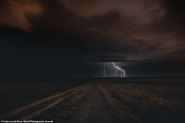 Bức ảnh ghi lại cảnh tượng ngoạn mục này cho thấy một cơn bão đang xảy ra trên cánh đồng. Ảnh được chụp bởi nhiếp ảnh gia người Hungary - Vatja László. Ảnh tham gia tranh tài ở hạng mục ảnh phong cảnh.