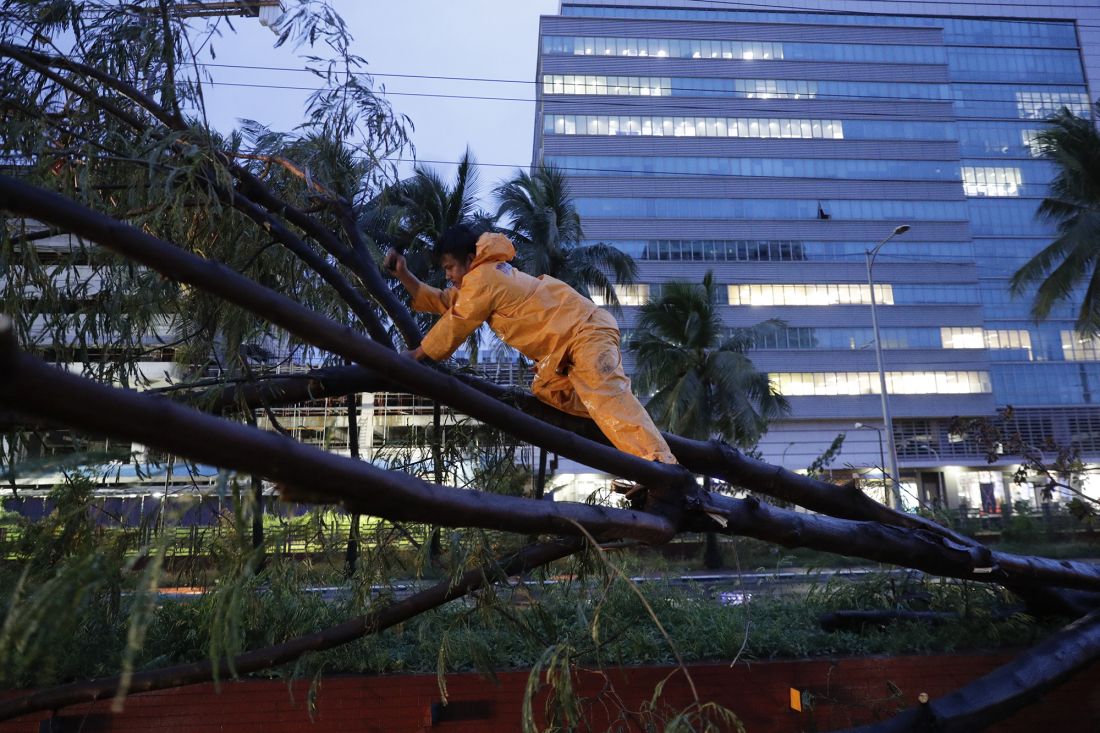 Nhân viên chính phủ đang tháo dỡ một cái cây bị đổ ở Manila. Ảnh: AP