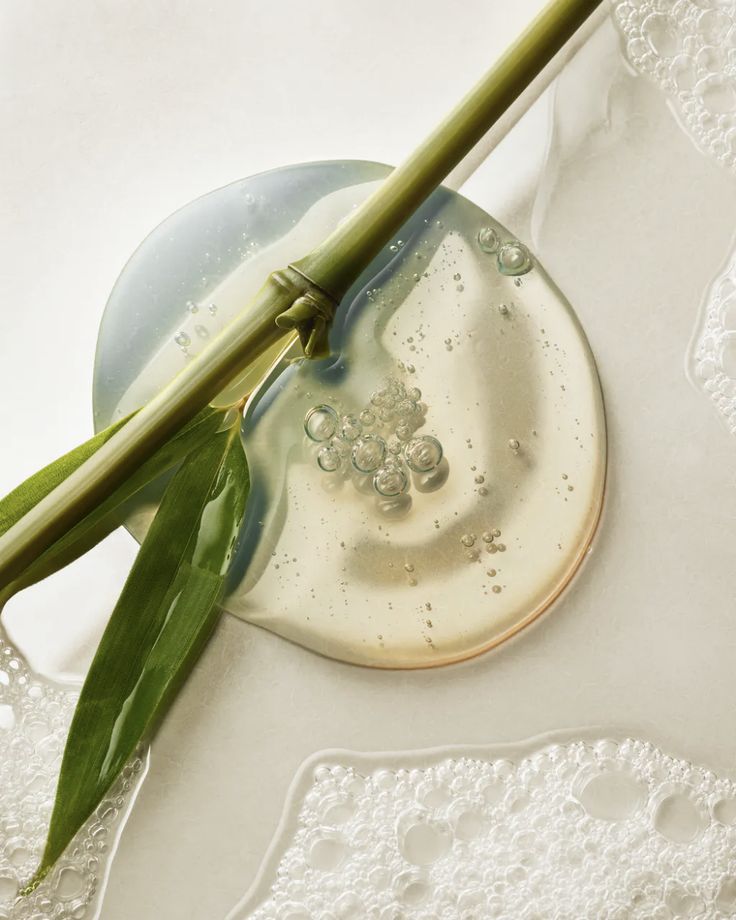 Tuy nhiên, sự khác biệt trong cách hoạt động không có nghĩa là hai thành phần này thiếu đi những điểm tương đồng. Cả squalane và axit hyaluronic đều có khả năng duy trì làn da khỏe mạnh và giữ nước. Đồng thời, chúng đều ít gây dị ứng và thường phù hợp với làn da nhạy cảm