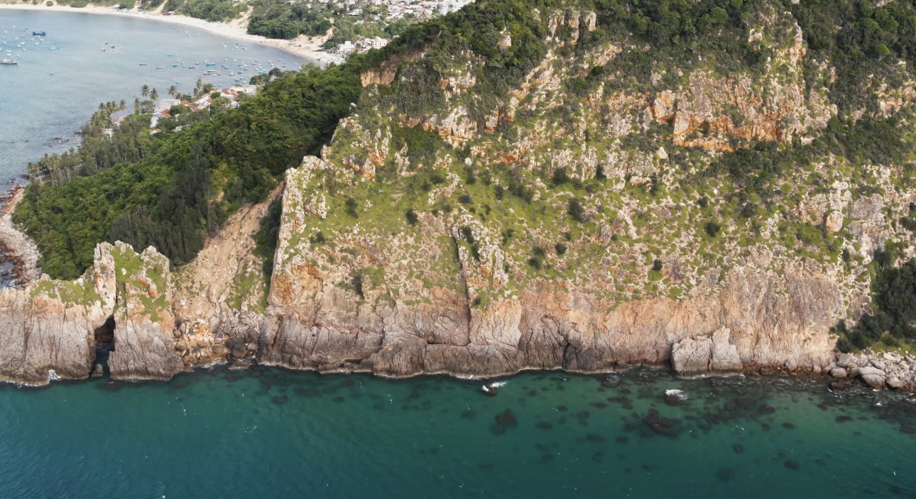 sự xuất hiện đầy ấn tượng của Mũi Vi Rồng